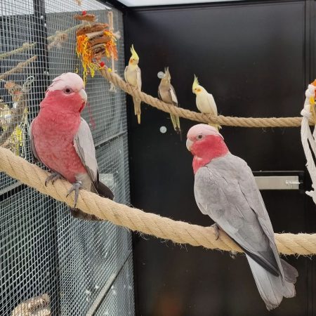 PHOTO-2023-09-10-19-37-51